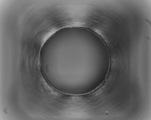 X0000102841469200808251145