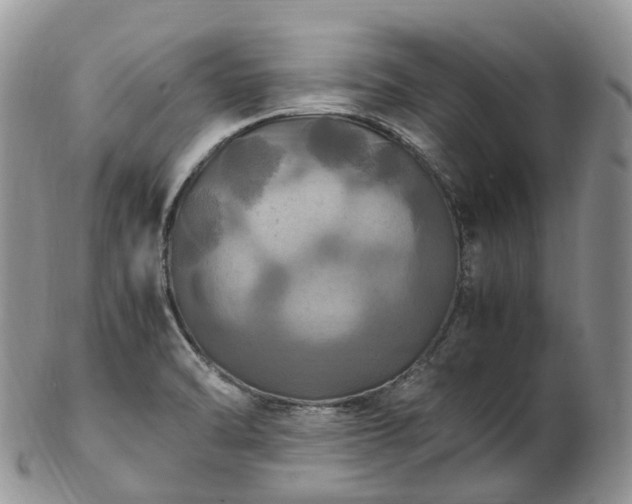 X0000102841470200808251145