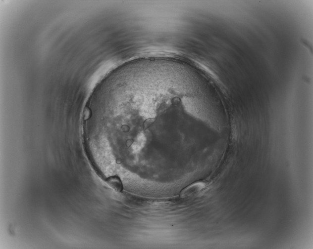 X0000102841471200808251145