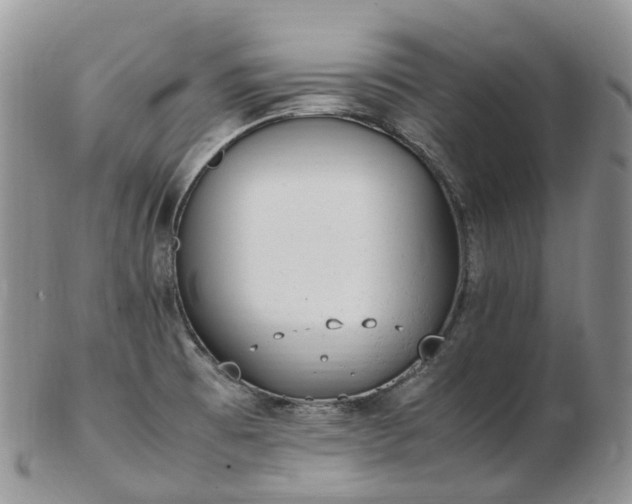 X0000102841473200808251145