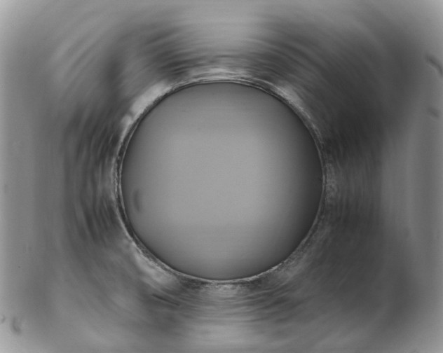 X0000102841474200808251145