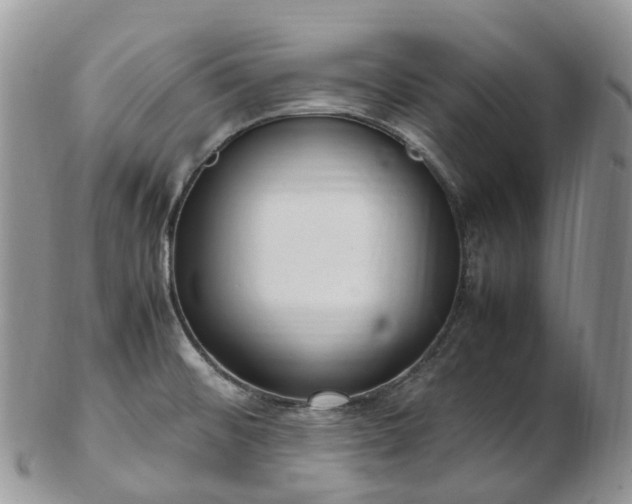 X0000102841476200808251145