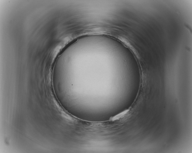 X0000102841477200808251145