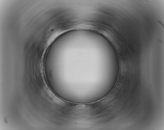 X0000102841478200808251145