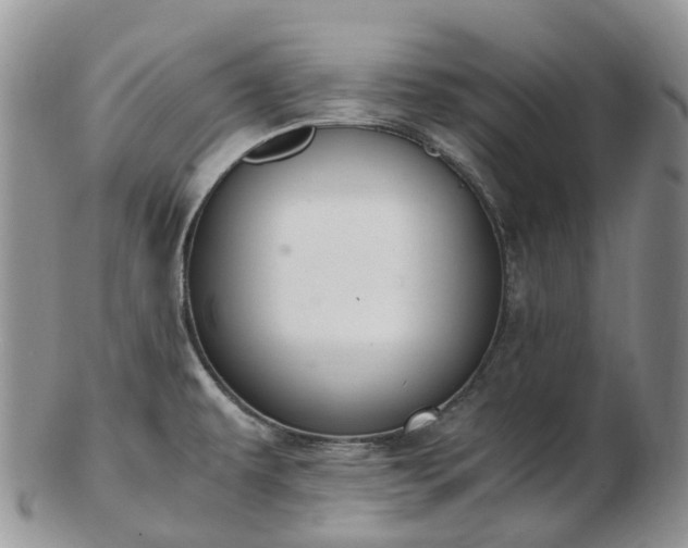 X0000102841479200808251145