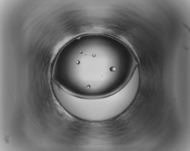 X0000102841480200808251145