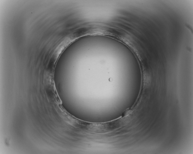 X0000102841481200808251145