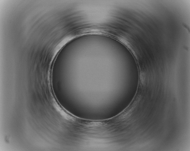 X0000102841482200808251145