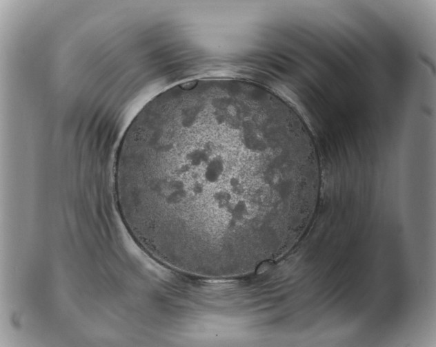 X0000102841483200808251145