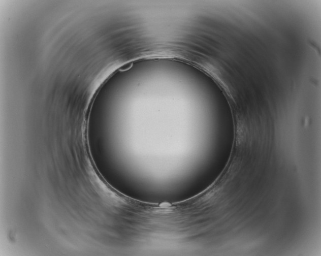 X0000102841484200808251145