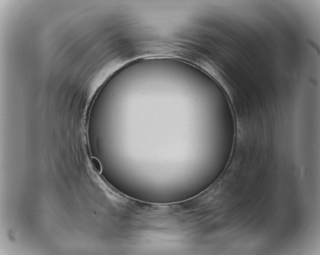 X0000102841485200808251145