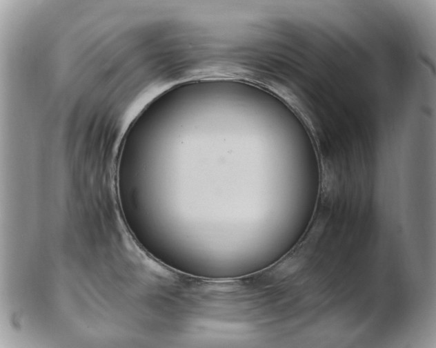 X0000102841486200808251145