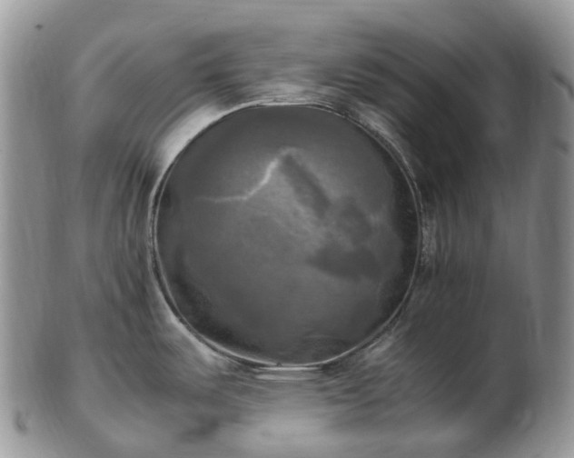 X0000102841487200808251145