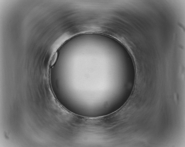 X0000102841488200808251145