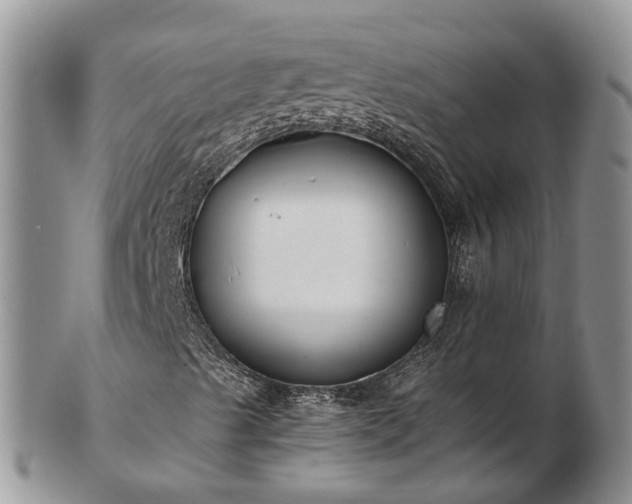 X0000102841489200808251144