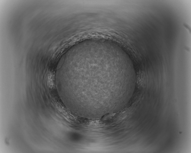 X0000102841490200808251144