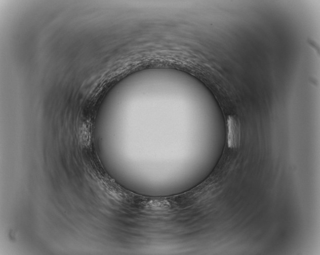 X0000102841491200808251144