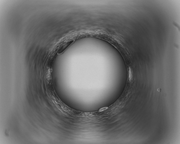 X0000102841492200808251144