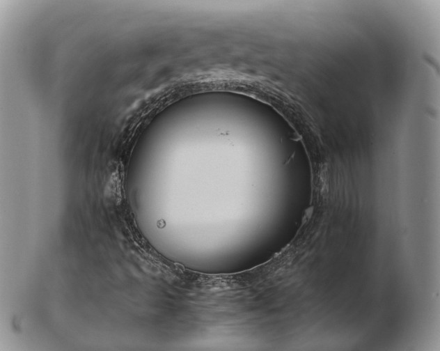 X0000102841493200808251144