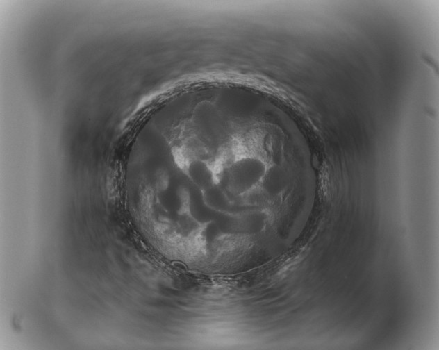 X0000102841494200808251144