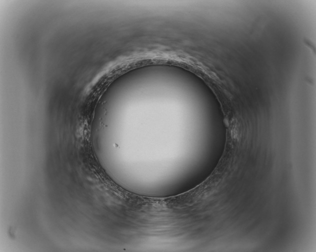 X0000102841495200808251144