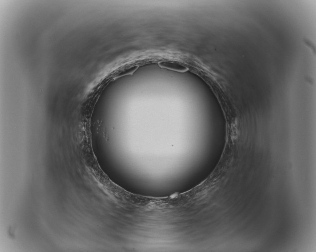 X0000102841496200808251144