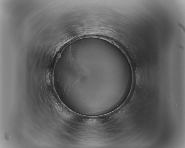 X0000102841497200808251144