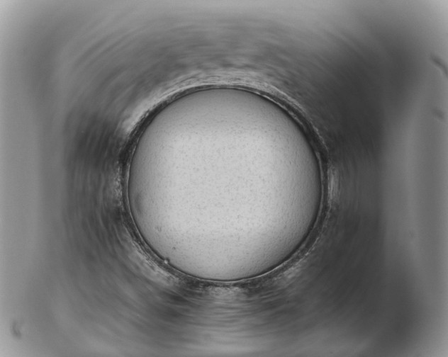 X0000102841498200808251144