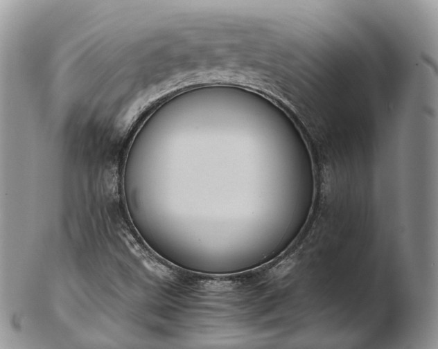 X0000102841499200808251144