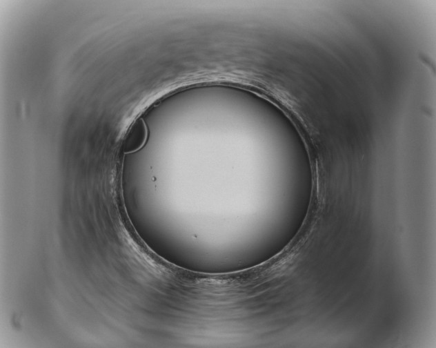 X0000102841500200808251144