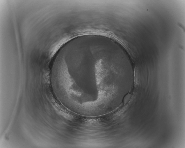 X0000102841501200808251144