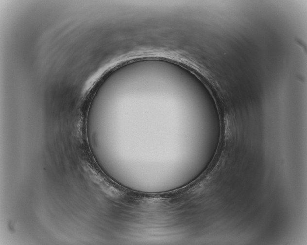 X0000102841502200808251144