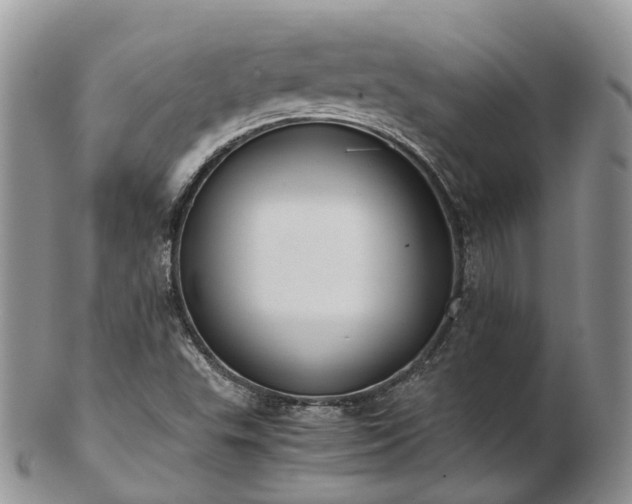 X0000102841503200808251144