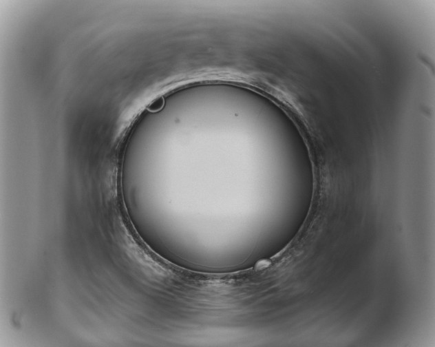 X0000102841504200808251144