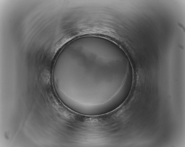 X0000102841505200808251144