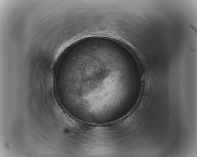 X0000102841506200808251144