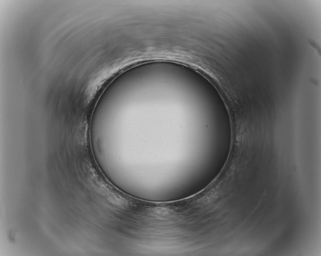 X0000102841507200808251144