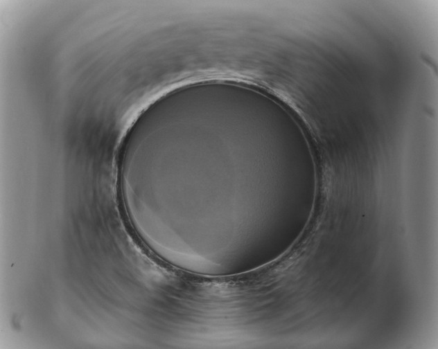 X0000102841508200808251144