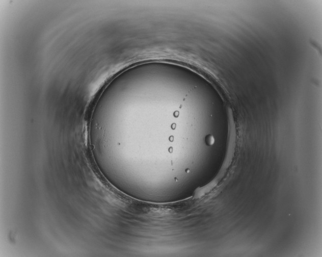 X0000102841509200808251144