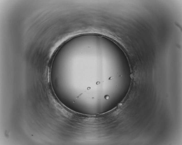 X0000102841510200808251144