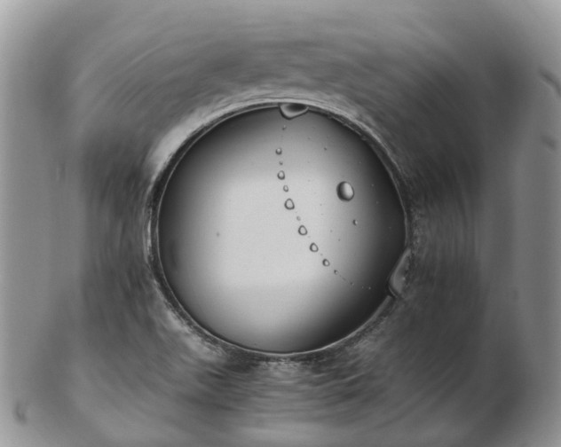 X0000102841511200808251144