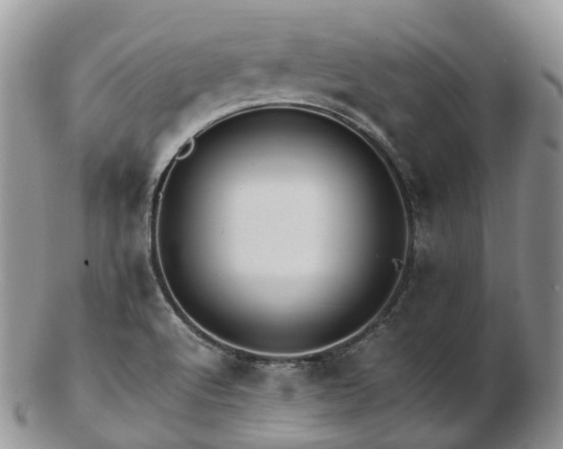 X0000102841512200808251144