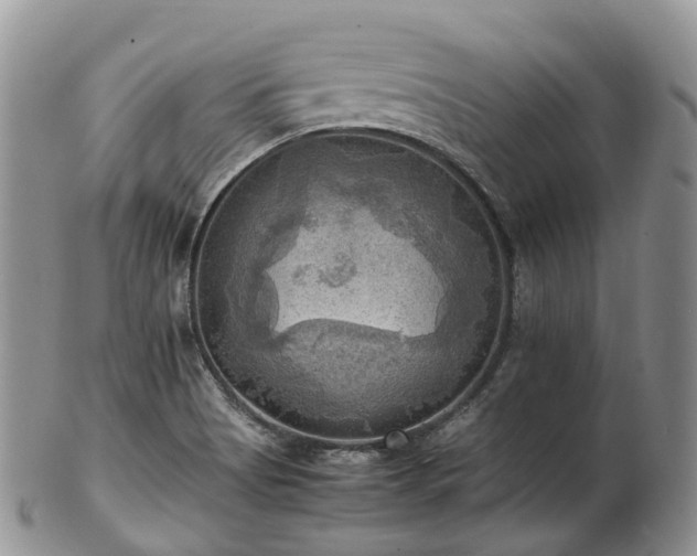 X0000102841513200808251144