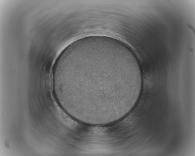 X0000102841514200808251144