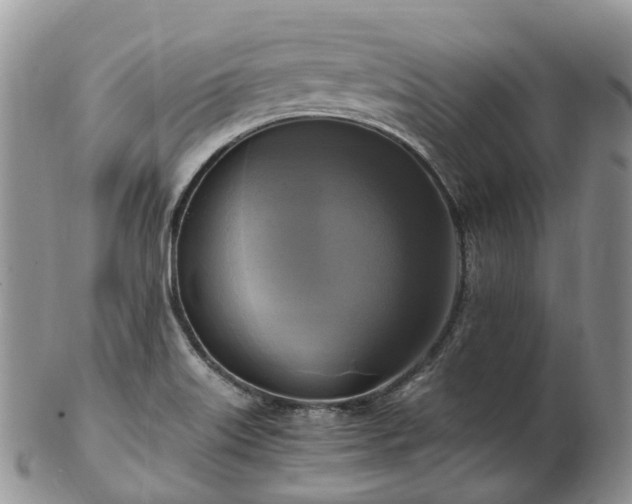 X0000102841515200808251144