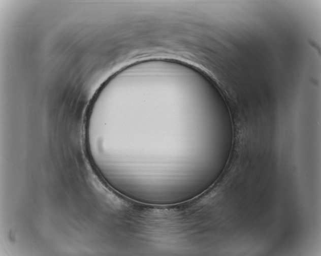 X0000102841518200808251144