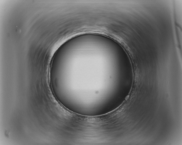 X0000102841520200808251144