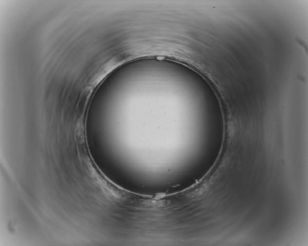 X0000102841521200808251145