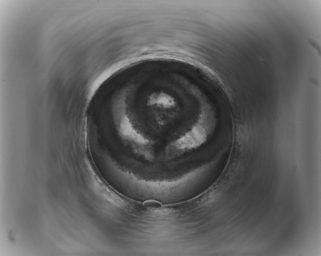 X0000102841522200808251145