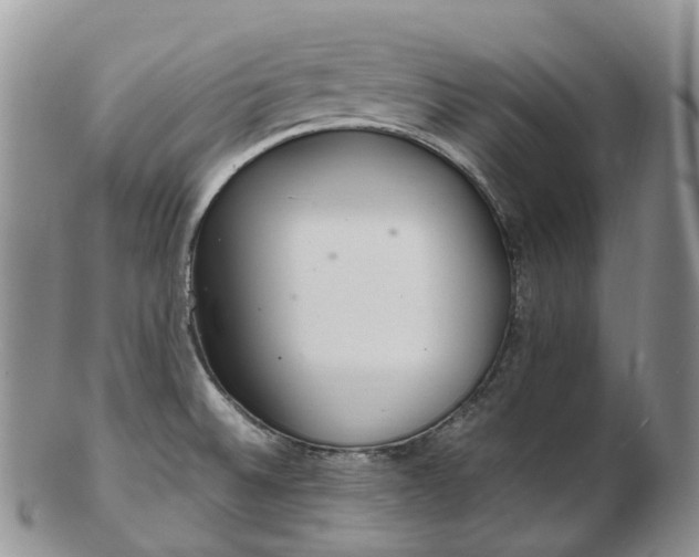 X0000102841524200808251145